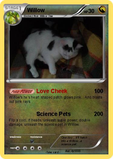 Pokemon Willow