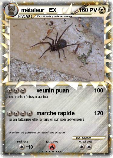 Pokemon métaleur   EX