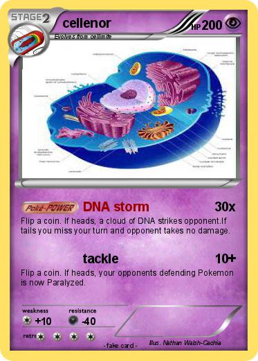 Pokemon cellenor