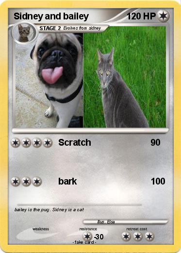 Pokemon Sidney and bailey