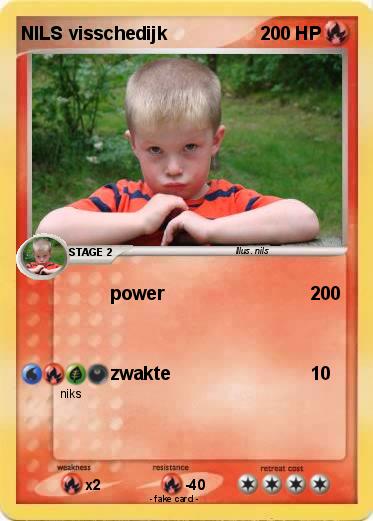 Pokemon NILS visschedijk