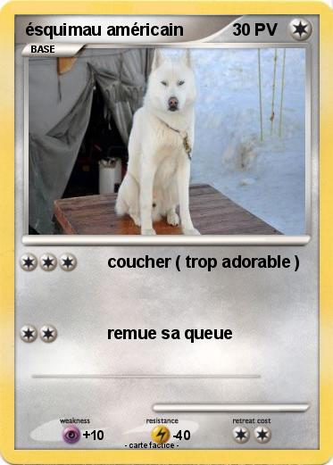 Pokemon ésquimau américain