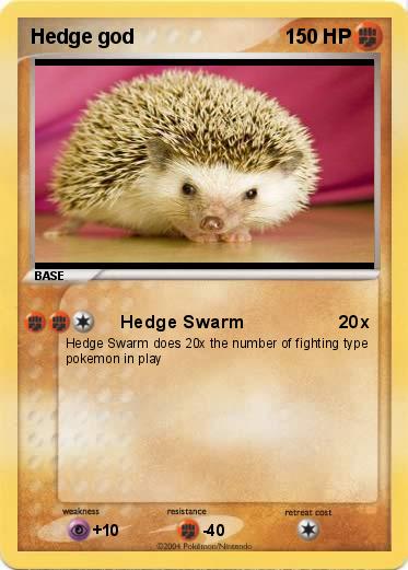 Pokemon Hedge god