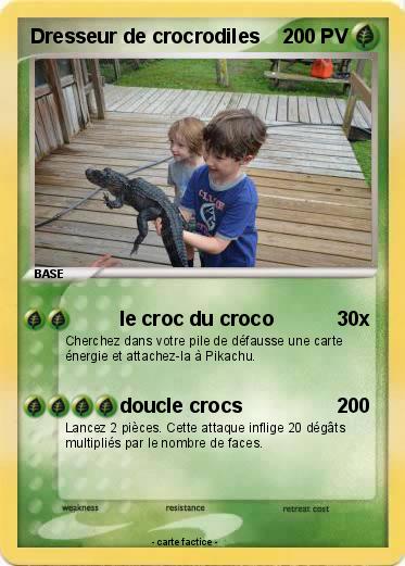 Pokemon Dresseur de crocrodiles