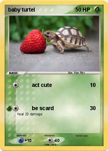 Pokemon baby turtel