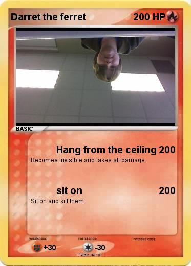 Pokemon Darret the ferret