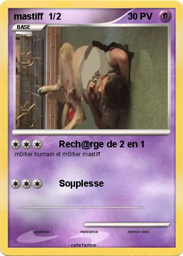 Pokemon mastiff  1/2