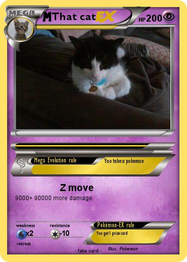 Pokemon That cat