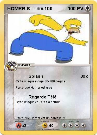 Pokemon HOMER.S     niv.100