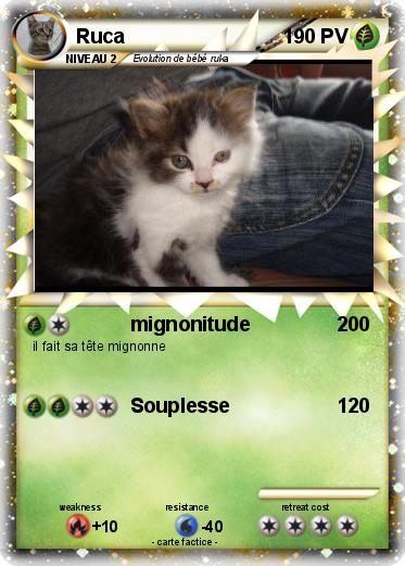 Pokemon Ruca