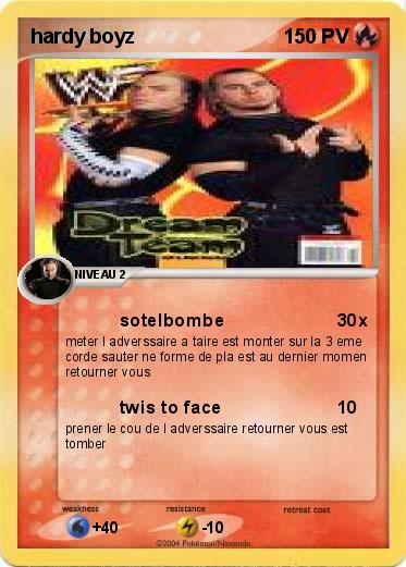 Pokemon hardy boyz