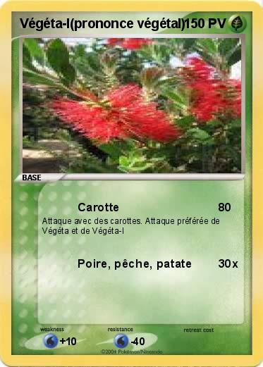 Pokemon Végéta-l(prononce végétal)