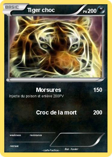 Pokemon Tiger choc