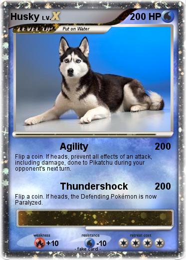 Pokemon Husky