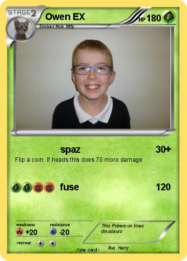 Pokemon Owen EX
