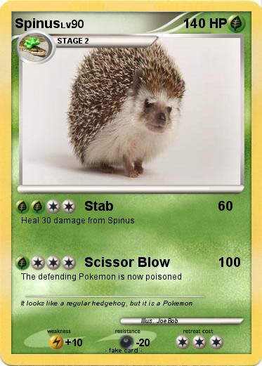 Pokemon Spinus