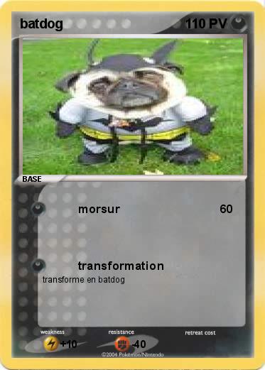 Pokemon batdog