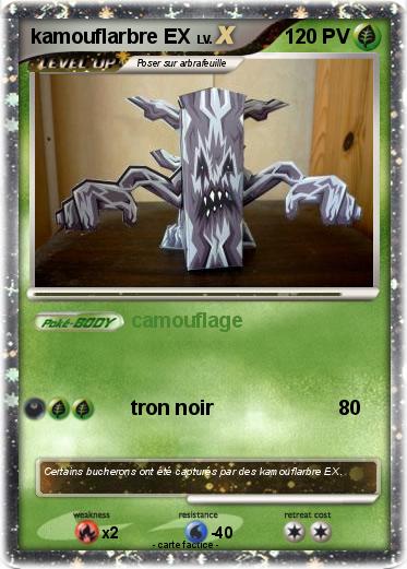 Pokemon kamouflarbre EX