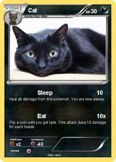 Pokemon Cat