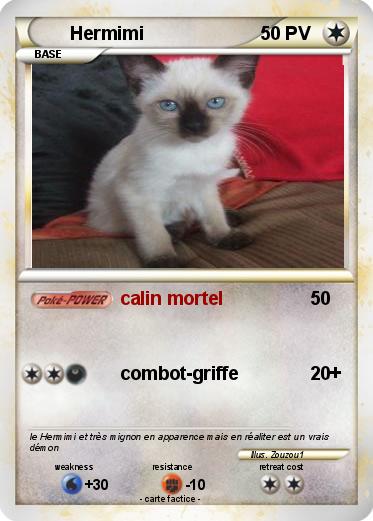 Pokemon Hermimi