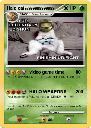Pokemon Halo cat