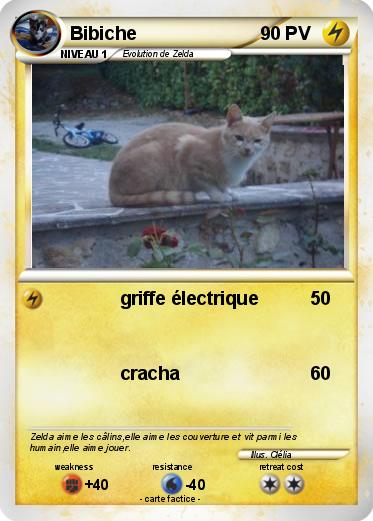 Pokemon Bibiche