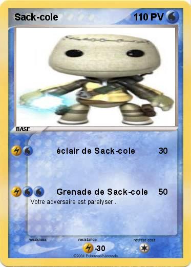 Pokemon Sack-cole