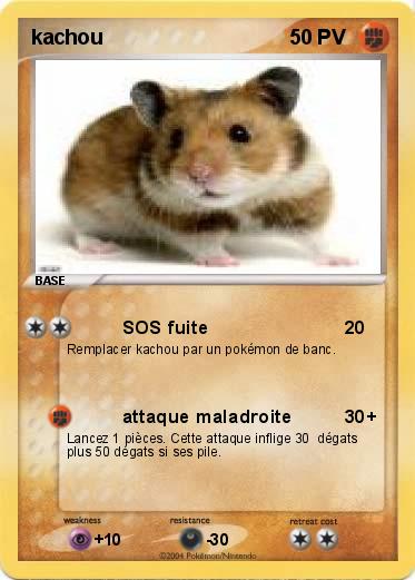 Pokemon kachou