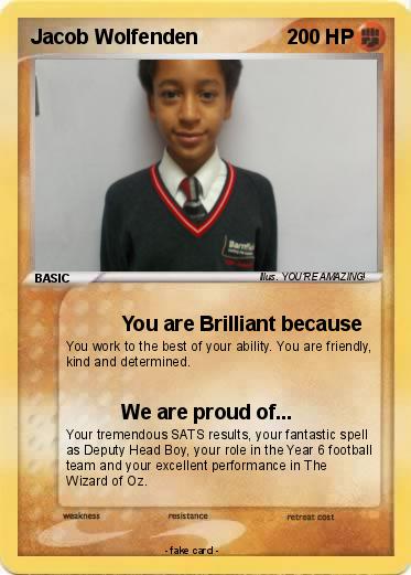 Pokemon Jacob Wolfenden