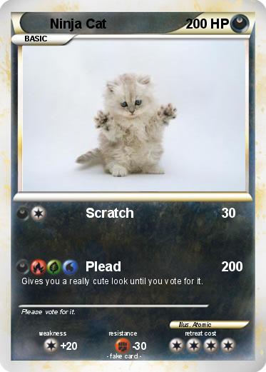 Pokemon Ninja Cat