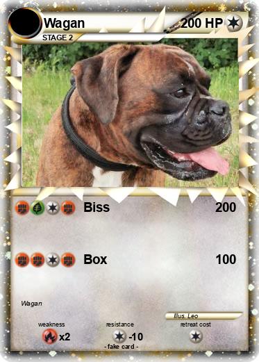 Pokemon Wagan