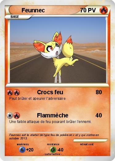 Pokemon Feunnec
