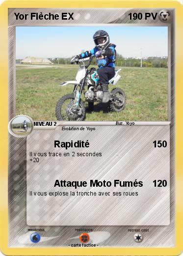 Pokemon Yor Flèche EX