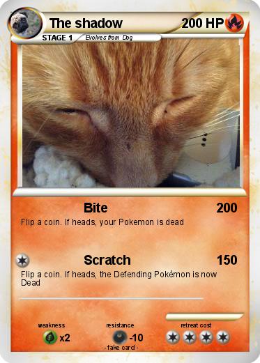 Pokemon The shadow