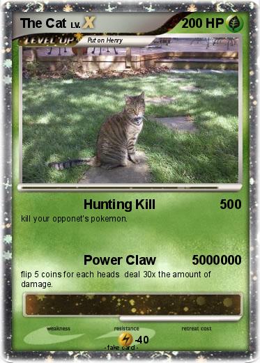 Pokemon The Cat