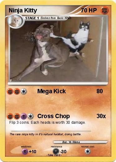 Pokemon Ninja Kitty
