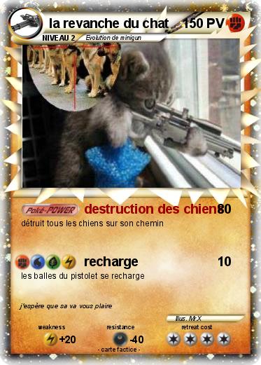Pokemon la revanche du chat