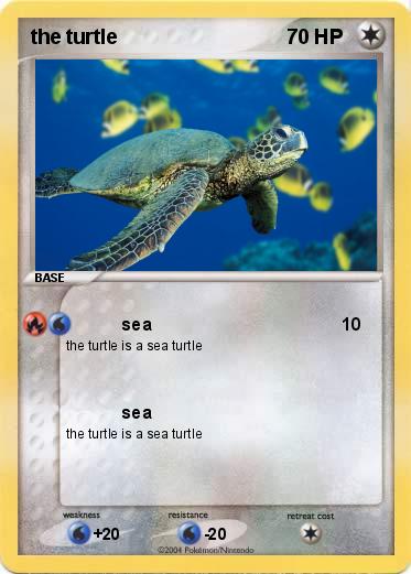 Pokemon the turtle