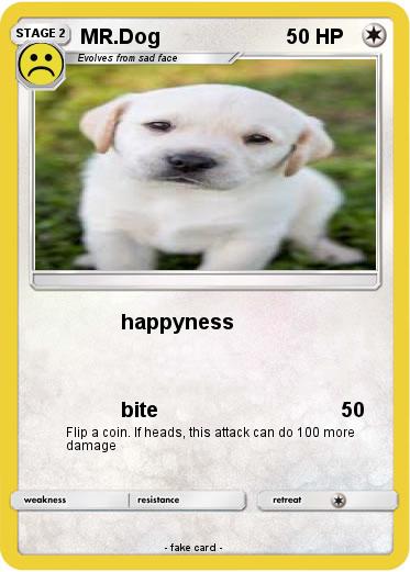 Pokemon MR.Dog