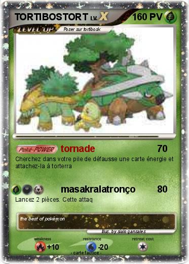 Pokemon TORTIBOSTORT