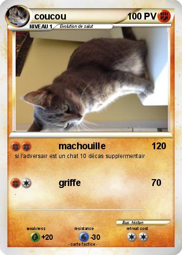 Pokemon coucou