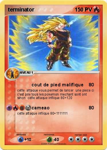 Pokemon terminator                                      