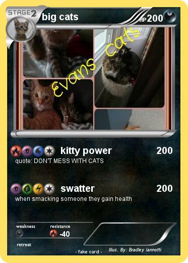 Pokemon big cats