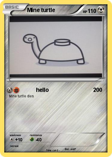 Pokemon Mine turtle