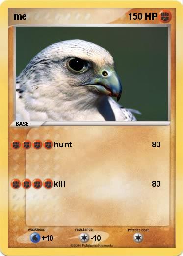 Pokemon me