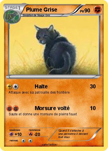 Pokemon Plume Grise