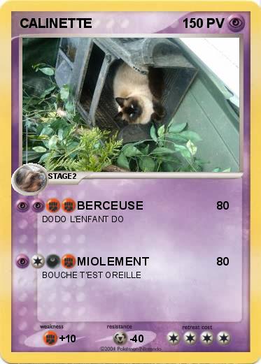 Pokemon CALINETTE