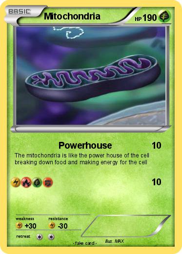 Pokemon Mitochondria