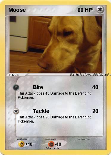 Pokemon Moose