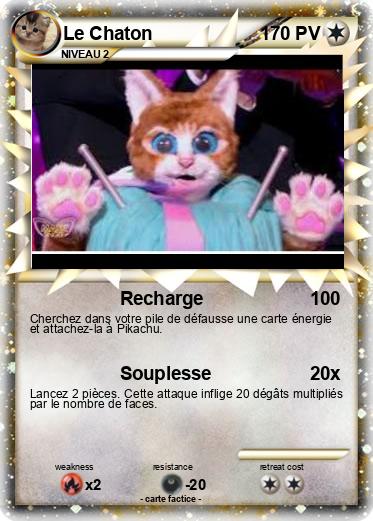 Pokemon Le Chaton